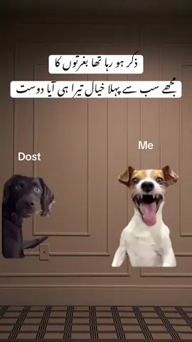 Funny video😂😂😂#unfrezzmyaccount #dontunderreviewmyvideo #fypシ゚viral #fyp #fyppppppppppppppppppppppp #funny😂 #viral #viralvideo 