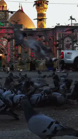 #دعاءالصباح🌟❤🌟 #اللهم_صل_على_محمد_وآل_محمد 