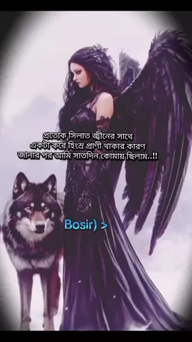সিলাত জ্বীন যেকোনো সময় যেকোনো রুপ ধারণ করতে পারে।  কিন্তু কিছু কিছু সময় হঠাৎ করে যখন তাদের উপর আক্রমণ হয় তখন তারা নিজেদের রক্ষা করার জন্য এই প্রাণী গুলোর সাহায্য নেয়। তারা এই প্রাণী গুলোর দেহে প্রবেশ করে এবং নিজেদের রক্ষা করে। কোন সাধারণ রুপে শত্রুর সাথে যুদ্ধ করলে তাদের পরাজয় হতে হবে তাই তারা হিংস্র প্রাণী গুলোর সাহায্য নেয় এবং এদের দেহে প্রবেশ করে শত্রু পক্ষের উপর আক্রমণ চালায়......  #foryou #foryoupage #bangladesh🇧🇩 @TikTok 