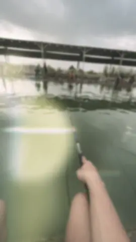 Wes kadung entek Bebek, entek Meri mosok arep di wiss ii.#CapCut #fyp #fypシ #rilislelesidoarjo #rilisanjawatimur #rilislelesurabaya #mancing #pemancinggayabebas #galatamalelejatim #rilisanlele #galatamalelesidoarjo #rillislelemalang 