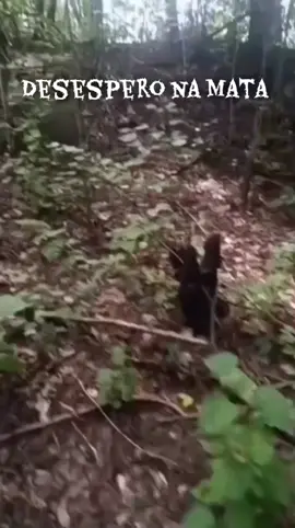 #socorro #riodejaneiro #brasil🇧🇷 