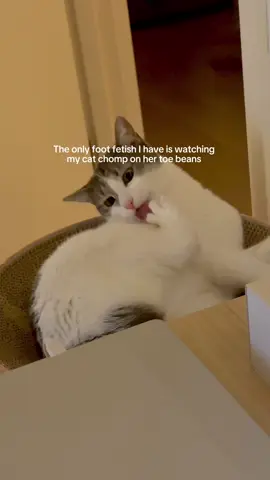 Smth about the crunch is SO SATISFYING TO HEAR AND WATCH. TELL ME IM NOT ALONE!!!! #cats #catsoftiktok #toebeans #cattoes #catsgrooming 