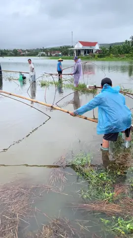 Quê em mùa nước lũ