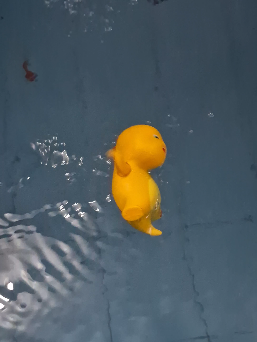 Rekomendasi mainan nailong berenang lucu niiih #mainannailong #nailongberenang #nailongdinokuning #mainanunik 