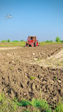 #tamoor1103 #viralvideo #trending #belarus510lover🚜🚜 