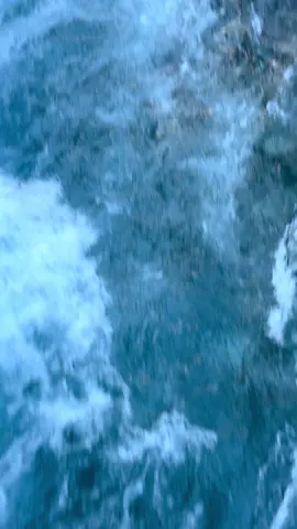 किन ?? #sheyphoksundo  #swar  #nepal  #nature #trekking 