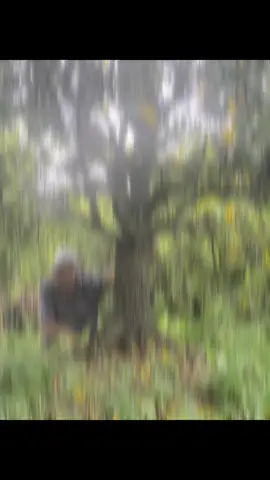 Gốc tư' quý siêu Vip....