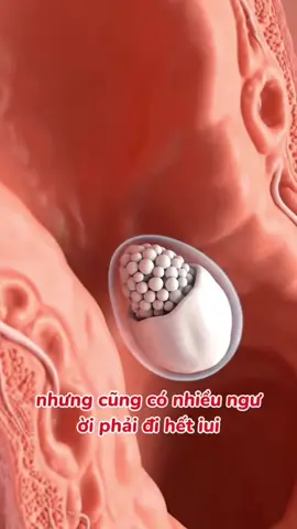 Có nhiều ngưỡi lỡ là có bầu. Nhưng có người đi hết nhiều nơi tìm con #ai #suckhoe #viral #tramamxoi #mamxoi #lamamxoikho #tra 