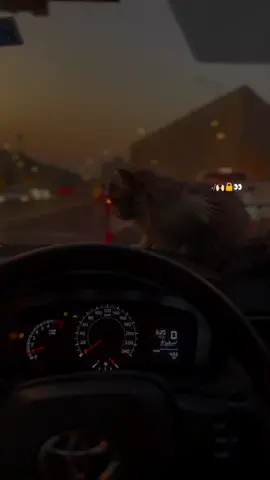 ہر رنگ اکھیاں ویکھینڑ جدا تو میرے نال ہووے 👀♥️ تیرے بعد کجھ نہیں ویکھیا جدا تیون ویکھیا❤️‍🩹💯 bunny with red heart.❤️ TikTok team unfreeze my account. TikTok team don't under review my vedio. #creatorsearchinsights #sadlines #urdushayri #likemyvedios #fyp 