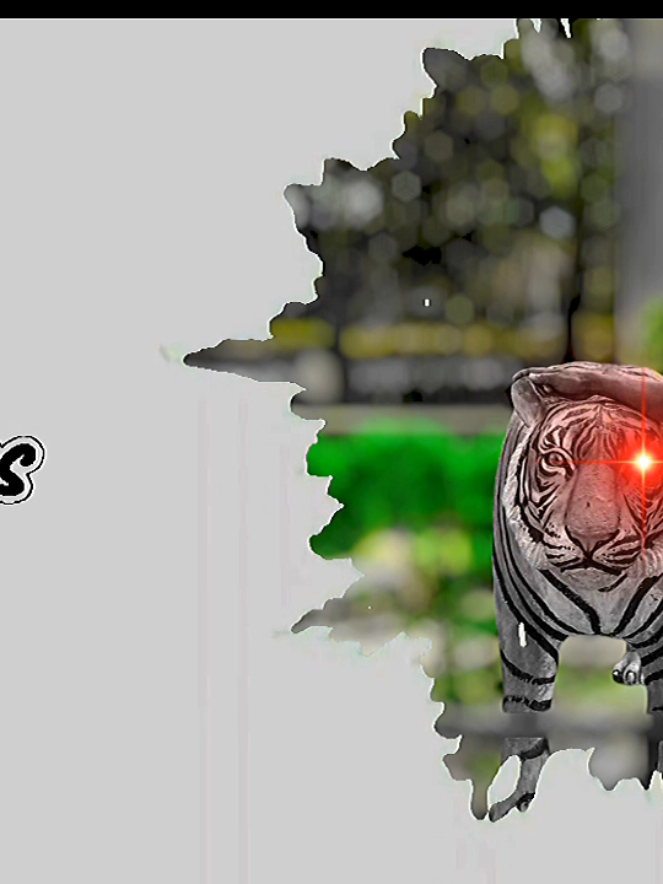 🫦❤️‍🩹#SP #foryou #সাপোর্ট_করলে_সাপোর্ট_পাবেন🌹✌️✌️💯💯💯 #foryoupage #bdtiktokofficial🇧🇩 