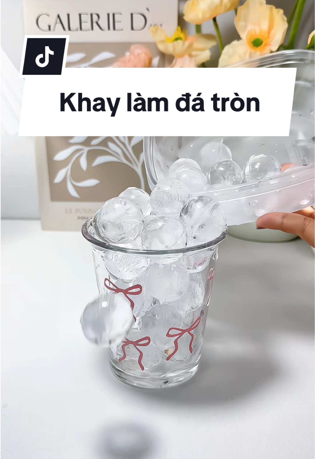 Khay làm đá tròn siêu xinh #khaylamda #khaylamdatron #giadung #mebeerriviuuu 