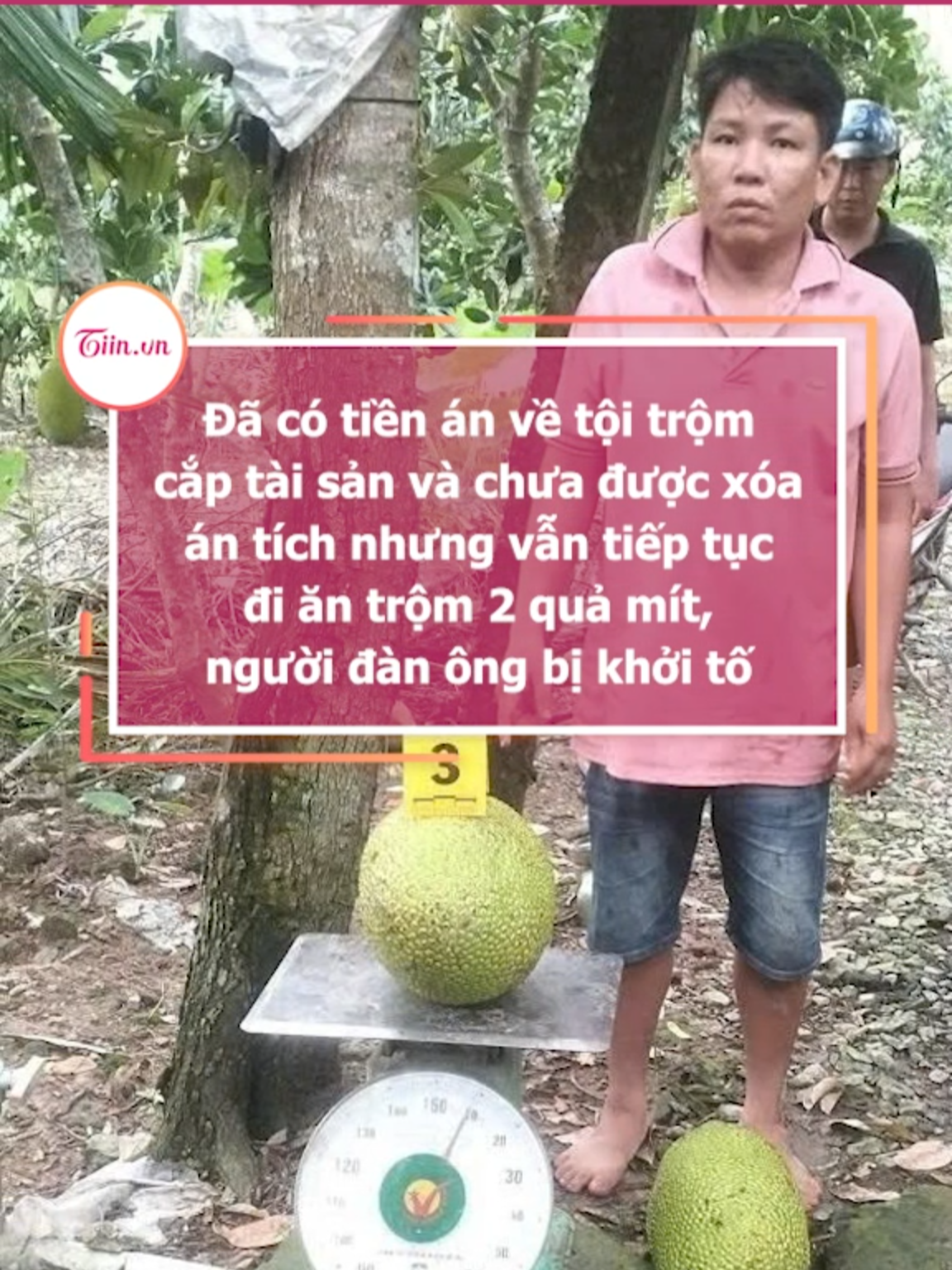 Đã có tiền án về tội trộm cắp tài sản và chưa được xóa án tích nhưng vẫn tiếp tục đi ăn trộm 2 quả mít, người đàn ông bị khởi tố #tiinnews