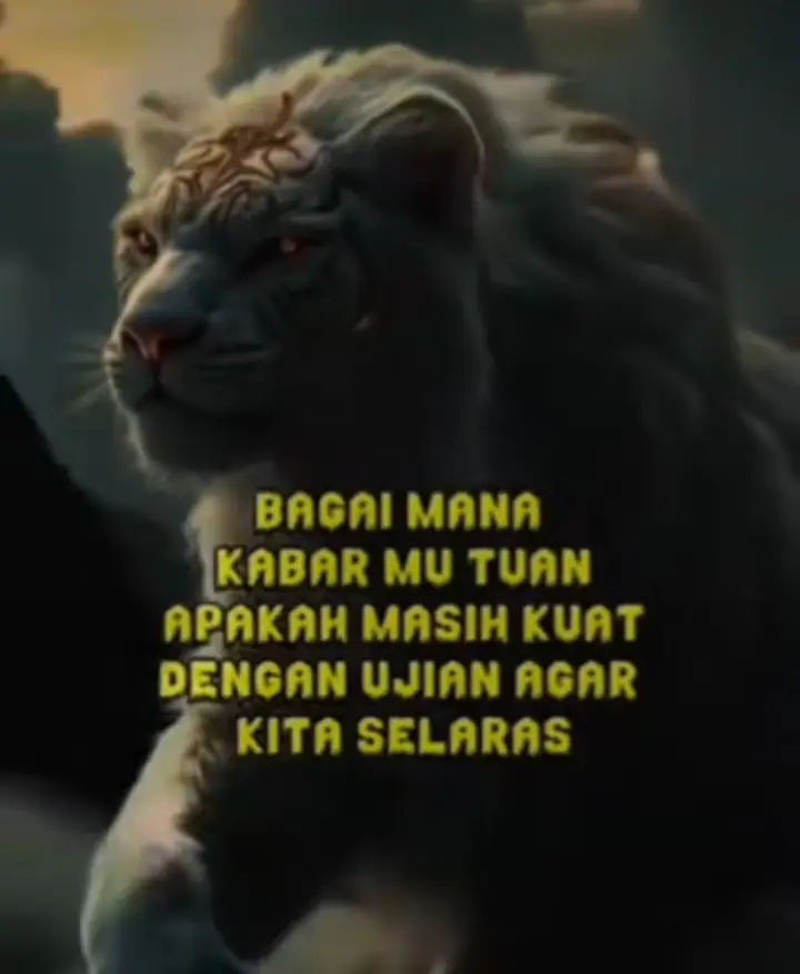 #alhamdulillah #aku #kuat #maung 