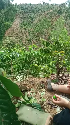 sedang sedang saja😆