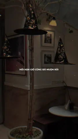 Hối hận giờ cũng đã muộn rồi #taos_ig20 #lunyentertainment #capcut #capcutpioneer #pioneertemplate 