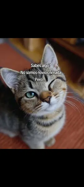 𝙎í𝙜𝙪𝙚𝙢𝙚,𝙚𝙨 𝙂𝙧𝙖𝙩𝙞𝙨 🥺❤️ Gratis, Compartír 🔁 #paratii #dedicarvideos♡ #fypシ゚ 