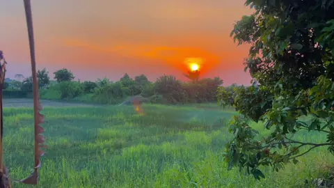 আল্লার প্ল্যান তোমার প্ল্যান এর চেয়ে অনেক বড় শুভহানাল্লাহ 🥰☺️#মিজানুর_রহমান_আজাহারী #inshallahforyou #fyppppppppppppppppppppppp #plz_unfreze_my_account🙏 