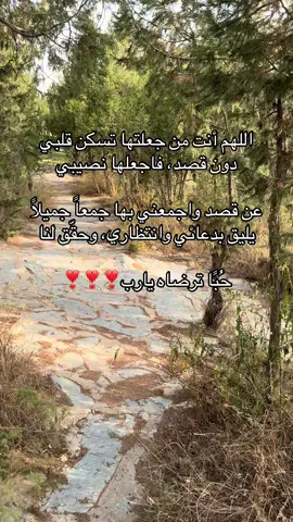 @أم فـيصـل . #يارب_فوضت_امري_اليك #لاحول_ولا_قوة_الا_بالله_العلي_العظيم #اجعلها_من_نصيبي😔💍 #الصلاة_الابراهيمية #اللهم_صل_وسلم_على_نبينا_محمد 