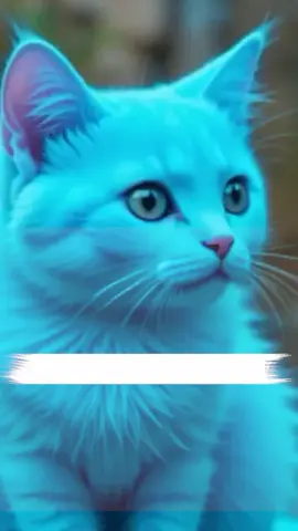 لڑکی وں تم لوگوں نے کچھ نوٹس کیا ہوگا  #funnymoments #saraiki #saraikistatus #mujra #mujralovers #trending #trend #viral #punjabi #funny #catfunny #cats #dog #dogsoftiktok #foryoupage #foryou #catsoftiktok #funnyvideos #saraikisong 