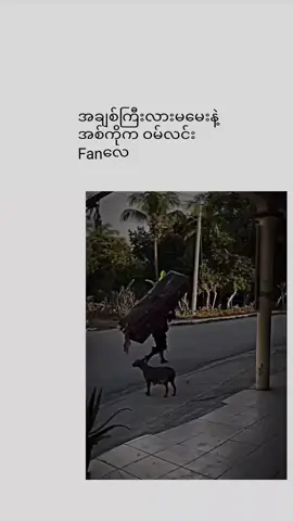 #အကိုကဝမ်လင်းfanလေ#မူရင်းကိုcrdပေးပါတယ် #fpy #foryou #viewမတက်ရင်ပြန်ဖျက်မယ်ကွာ 