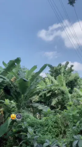 Hey Siri.. 🌚🕊️#faryou #tiktok #foryoufaryou #viralvideo 