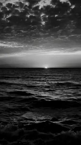 -கூடு எங்கே 💕 #tamilsong #fyp #tamilsong #tamiltiktok #trending 