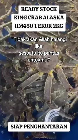 #kepiting #kingcrabalaska #xzyabc #fypジ #postageseluruhmalaysia 