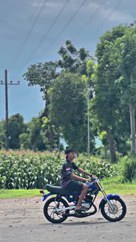 Forsale cah spek blayer 20jt bisa nego #spekblayer #rxking #tbmotor 