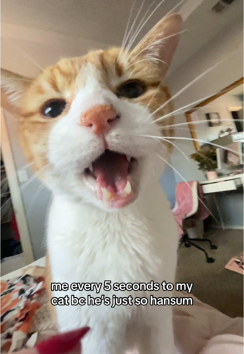 too hansum for this world