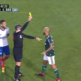 Felipe Melo #palmeiras #felipemelo #futebol #edit #viral 