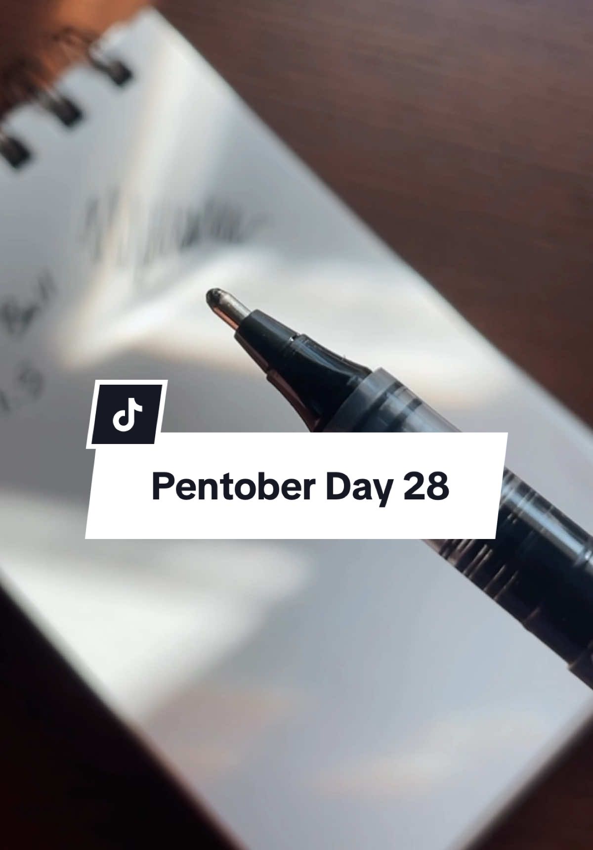 Favorite boldest pens: OHTO Fude Ball 1.5mm / TWSBI Broad (FP) #pentesting #stationerysupplies #pentest #TWSBI #twsbieco 