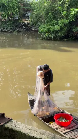 Chài lưới trên kênh rạch bắt cá,nhưng tầm 1 tháng nữa thì nước lũ rút cá trên đồng đỗ ra sông thì các con rạch này rất nhiều cá.