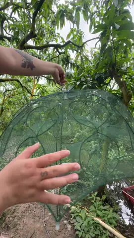 Ô lồng luoi danh bat ca#luoidanhca #luoibatca #luoicauca #batca #lindahien98  @Linda Hiền 98  @Linda Hiền 98  @Linda Hiền 98 