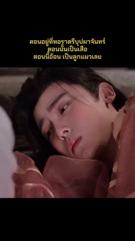 ท่านจี้ก็อ้อนจนคนดูละลายหมดแล้ว #สู่ห้วงเมฆา #loveintheclouds  #โหวหมิงฮ่าว  #หลูอวี้เสี่ยว  #ซีรีส์จีน 