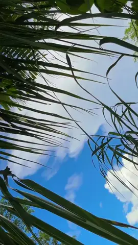 #ကိုကိုခေါ်ရင်လာမှာပေါ့ ❤#Honey #မြင်ပါများပီးချစ်ကျွမ်းဝင်အောင်လို့🤒🖤 #fyppppppppppppppppppppppp 