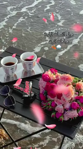 صباح النسمات الباردة ،، صباحات تشرين#صباح_الخير #تشرين_عم_يجمع_الزهر_الليلكي #فيروز #CapCut #fyp 