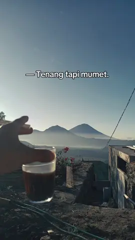 #CapCut #procreate #reels 