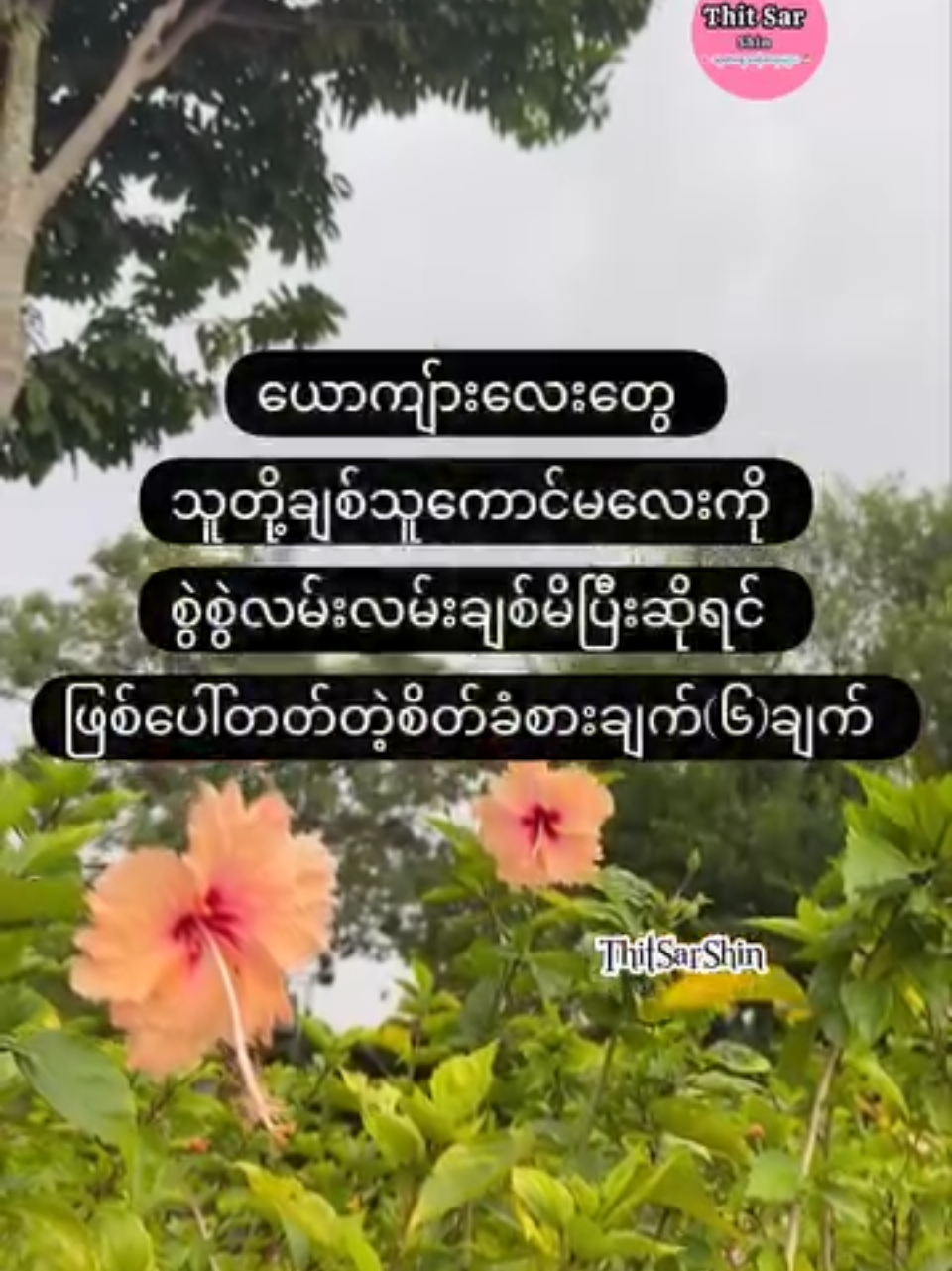 ယောကျ်ားလေးတွေ သူတို့ချစ်သူကောင်မလေးကို-စွဲစွဲလမ်းလမ်းချစ်မိပြီးဆိုရင် ဖြစ်ပေါ်တတ်တဲ့စိတ်ခံစားချက်(၆)ချက် #thitsarshin  #nantehlinn  #သုတရသစာစုများ  #foryou  #fpy 
