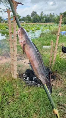 ខែធ្លាក់ខ្យល់🌱🌬️❤️ #winter #foryouu #fyp #tranding 