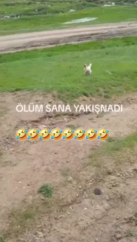 #🤣🤣🤣🤣🤣🤣🤣🤣 #keşfet #begen #takip et