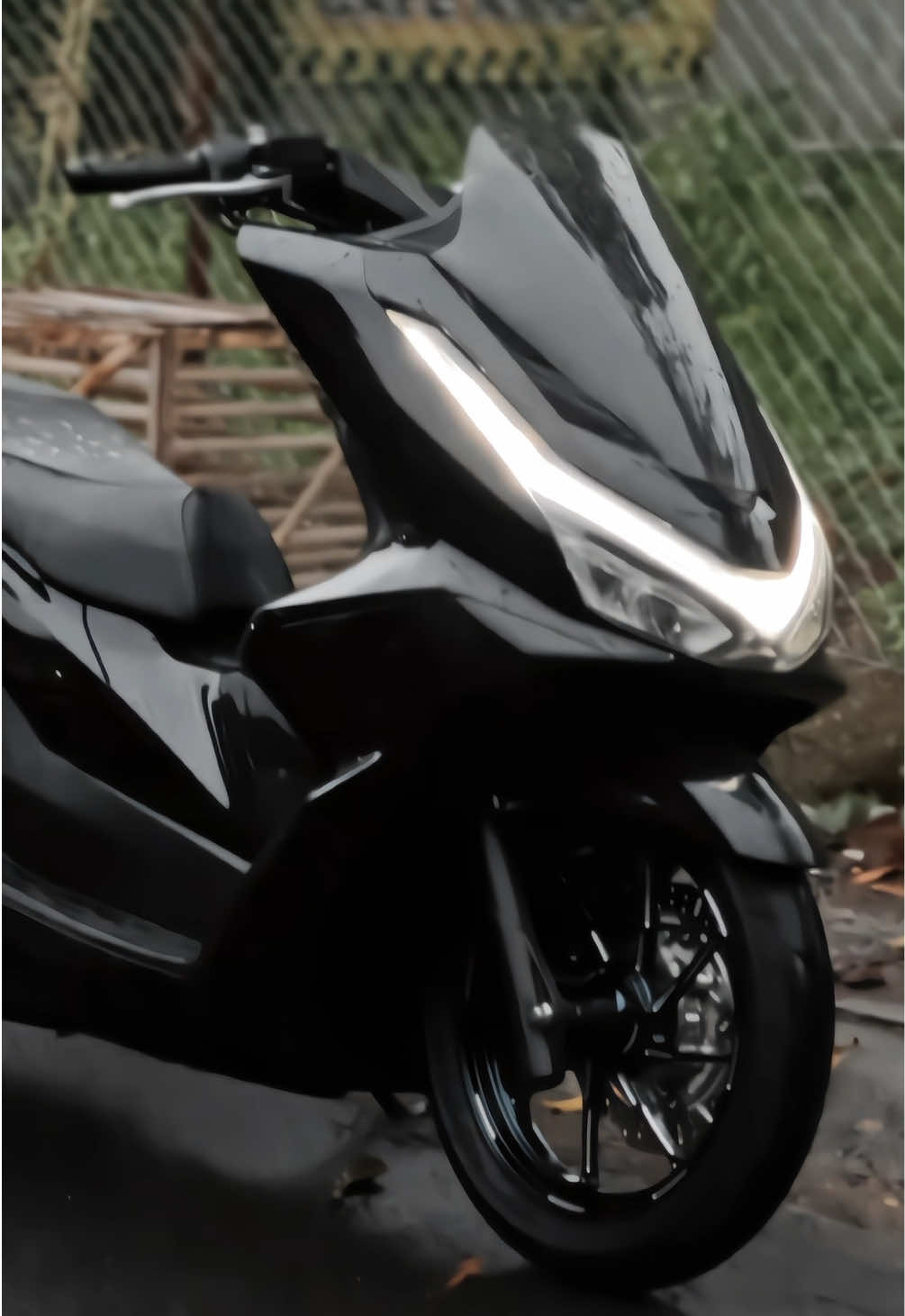 Pong pong #pcx2025 #pcx160ล้อ17แต่งสวย #pcxindonesia #fyp #fypシ゚ 