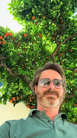 @Thomas Lindegaard Madsen #viral #viraltiktok 