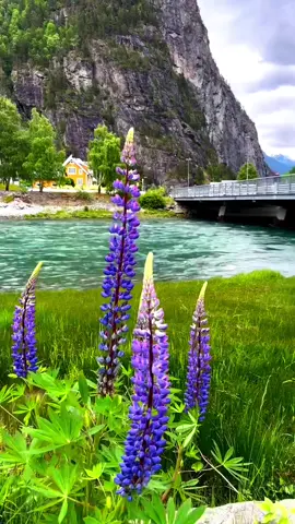 #قال_انما_اشكي_بثي_وحزني_الي_الله#عبدالعزيز_سحيم_تلاوات_خاشعه_الطبيعه_الخلابه #اجمل_مناظر_طبيعية_خلابه_ساحره_في_العالم_سويسرا_النرويج_ايسلند #راحه_نفسيه🖤🎧 #المناظر_الطبيعيه_الخلابه 