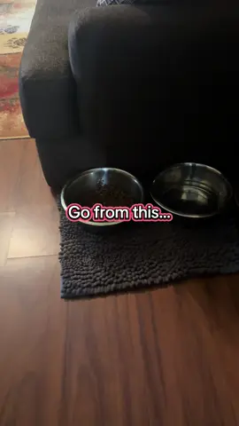 #dog #dogbowl #raiseddogbowl #TikTokShopBlackFriday #TikTokShopFallDealsForYou 