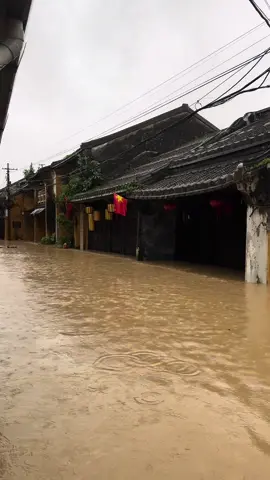 Phố cổ ngày hôm nay …#hoian #reviewhoian #hoian2025 #phocohoian #hộian 