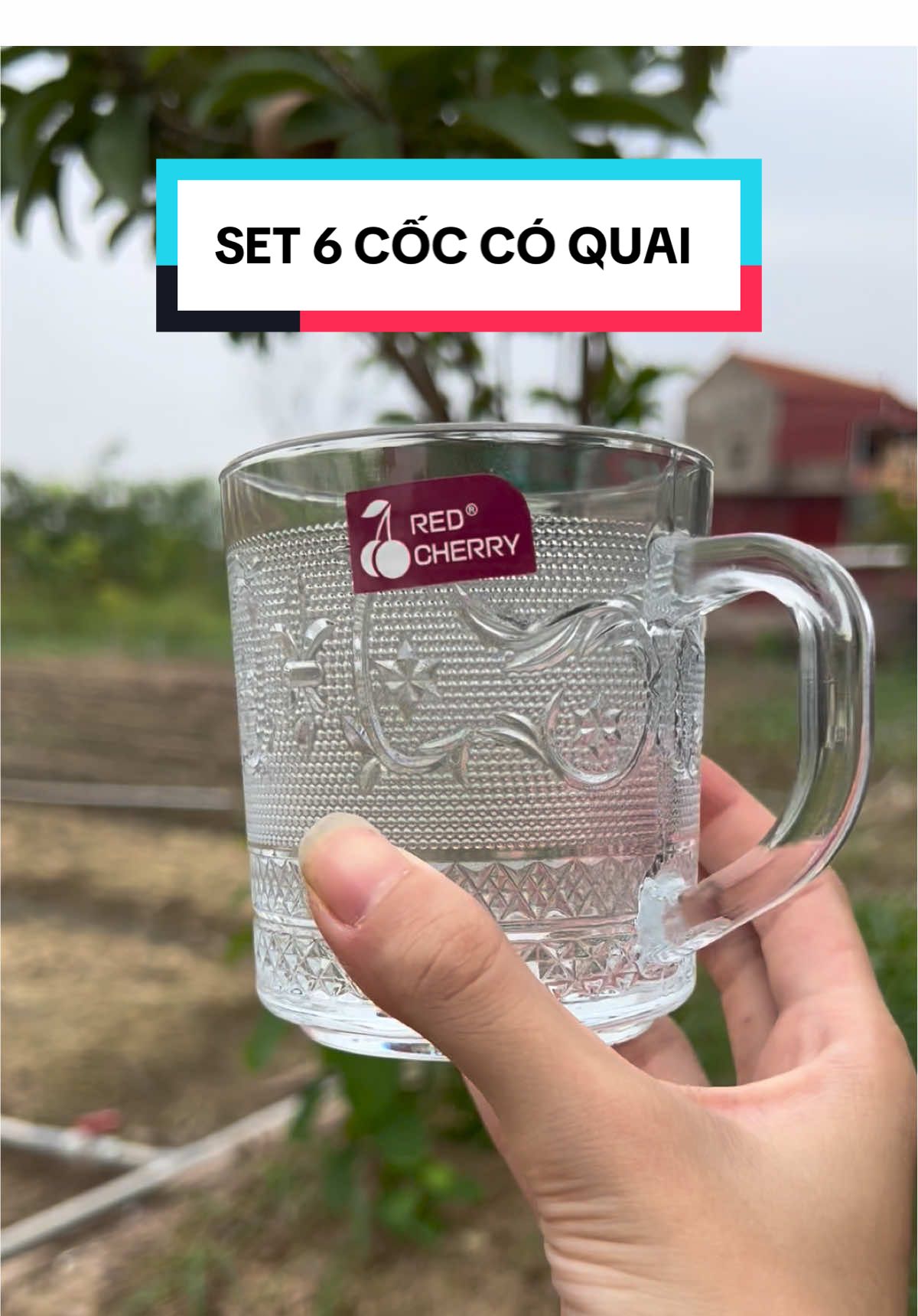 Set 6 ly thủy tinh cao cấp #cocthuytinh #lythuytinhdecor #lythuytinh #viral #xuhuongtiktok 