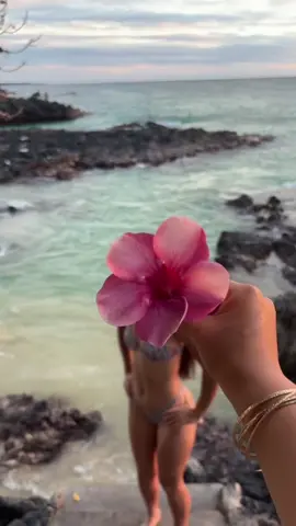 👅💕🐢🐑🫧@🤨 