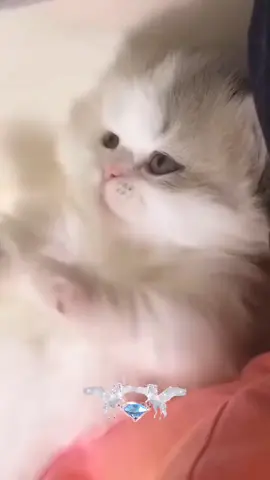 #начинаемутроспозитива #доброгоутречкадрузьямои💕💕🍰☕🍰☕💕💕 #@natalianatalia_zzzzzzzzz @olga.00197 @tanialineva