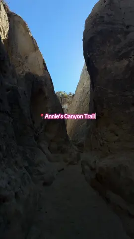 Highly recommend a bag & water LOL i forgot mine! 👼#sandiegohikes #sandiegohiddengems #anniescanyontrail #soloactivities #sandiego