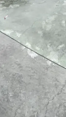 #studytour #batu  #jatimpark1 